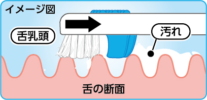 ブラシとラバー、ダブルの汚れ落とし