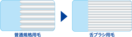 普通規格用毛と舌ブラシ用毛の比較