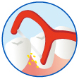 乳歯の大きさに合わせた糸が狭い歯間、広い歯間の汚れをしっかり取り除きます。